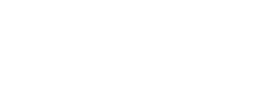 light logo